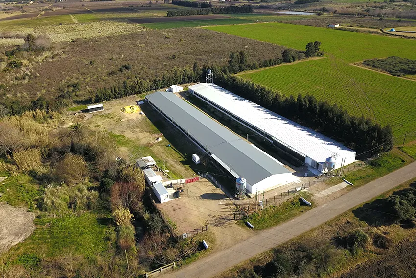 vista aérea granjas reproductoras avícolas del oeste