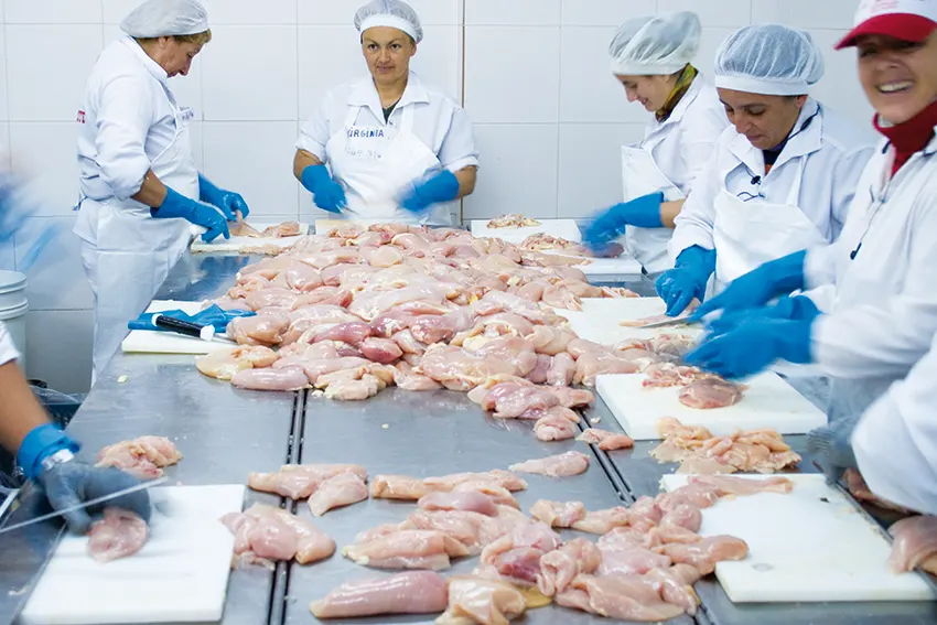 mujeres trabajando con pollo en planta de avícola del oeste